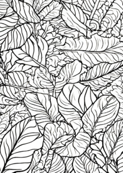 Free November Coloring Pages